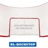 Blue Sports Backstop For 72" Goal