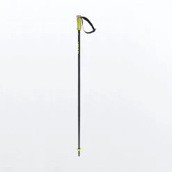 Head Multi Ski Poles Winter Sports