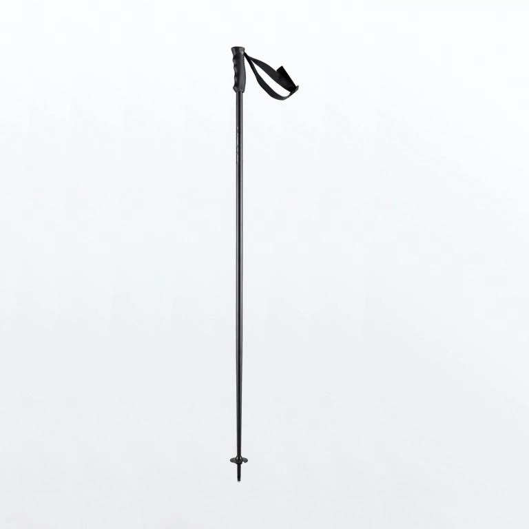 Head Multi Ski Poles Winter Sports