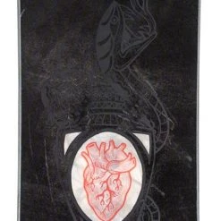 Sports Replay - Sports Excellence Rossignol Circuit Snowboard