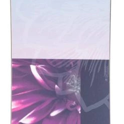 Rossignol Gala Snowboard Winter Sports