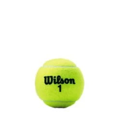 Sports Replay - Sports Excellence Wilson Championship Xtra Duty Tennis Balls 3/Can