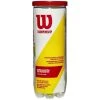 Wilson Championship Xtra Duty Tennis Balls 3/Can